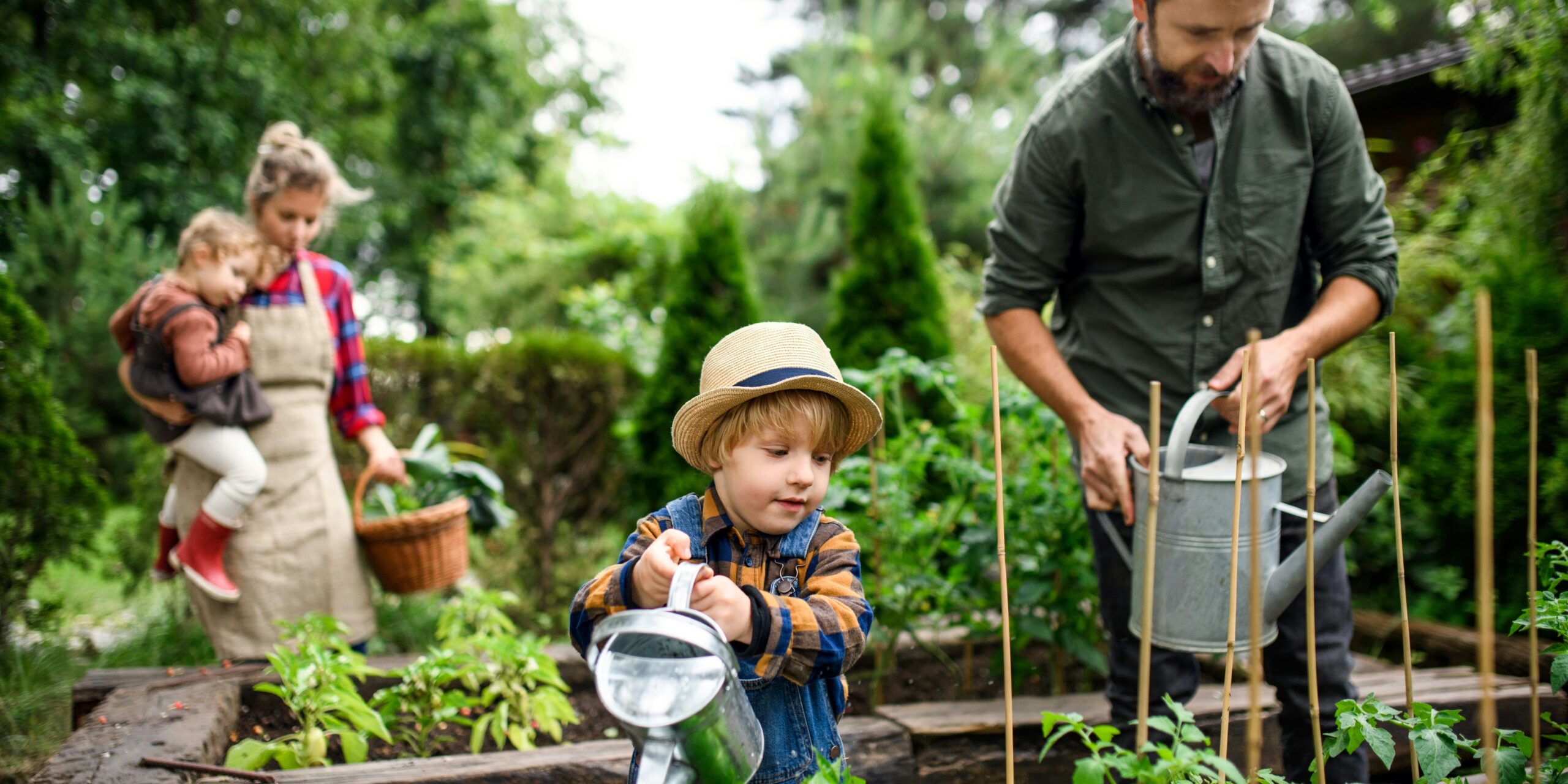 Seattle's Home and Garden Shows: A Celebration of Creativity and Design