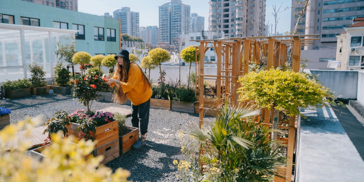 How Urban Farms & Community Gardens Are Transforming Seattle