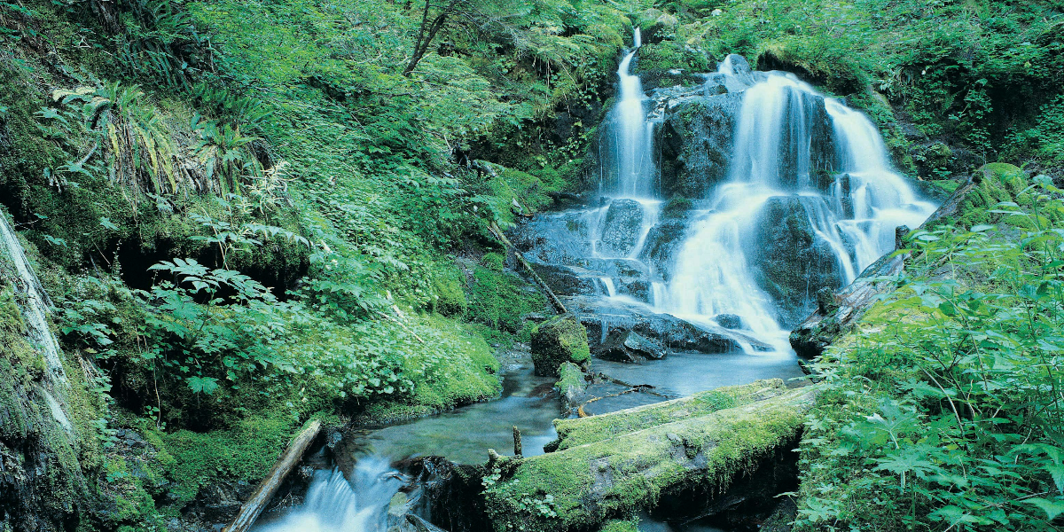 Exploring the Diverse Mountain Ranges of the United States