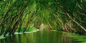How U.S. Territories Are Leading the Way in Marine Conservation and Ecotourism