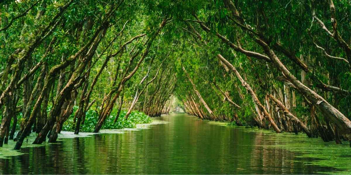 How U.S. Territories Are Leading the Way in Marine Conservation and Ecotourism