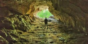 Human Evolution: From Early Life to Modern Man