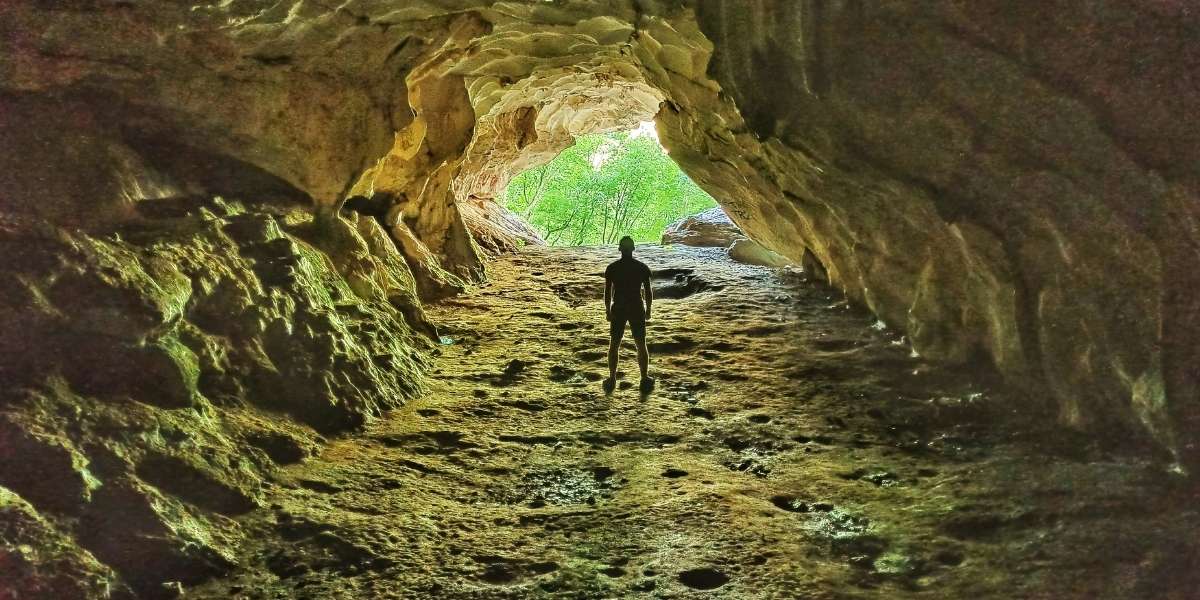 Human Evolution: From Early Life to Modern Man