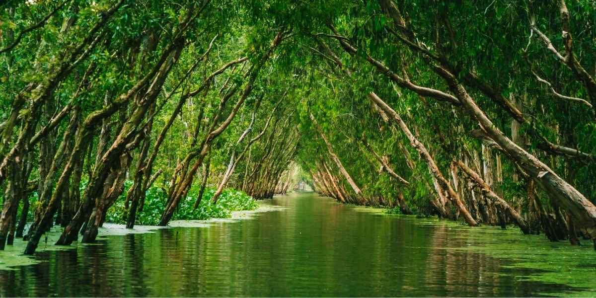 How U.S. Territories Are Leading the Way in Marine Conservation and Ecotourism