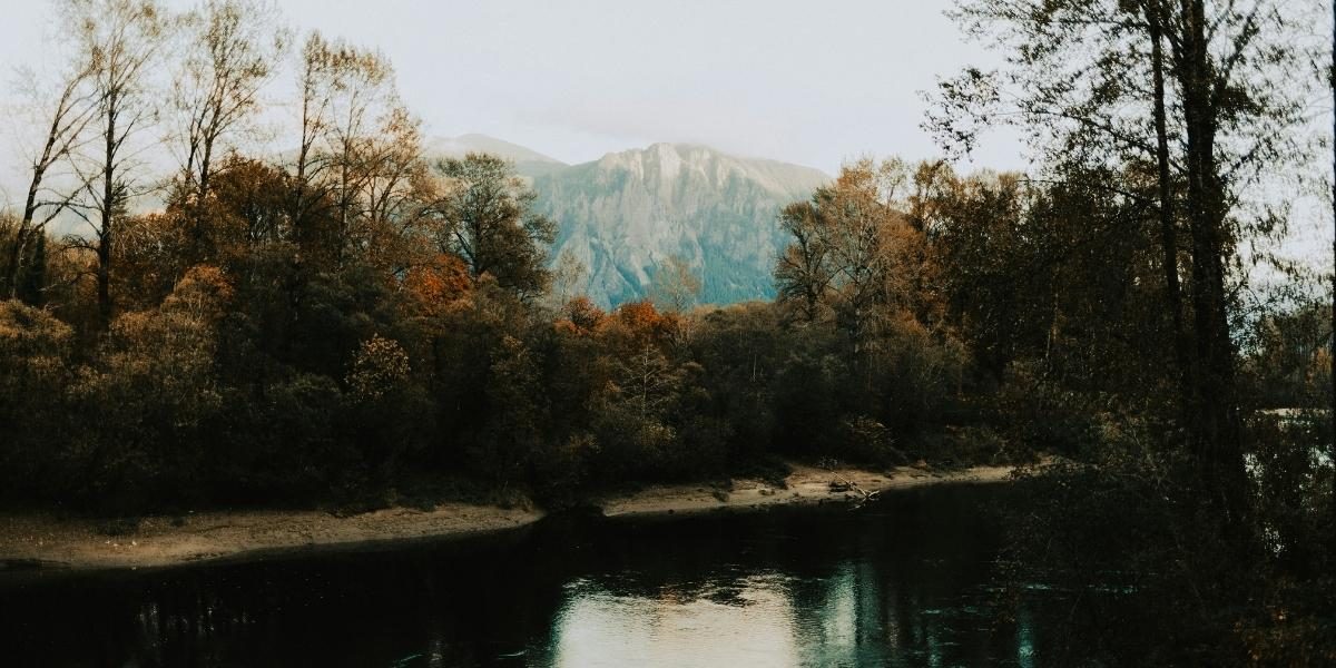 Discover the Natural Beauty of Issaquah Trails