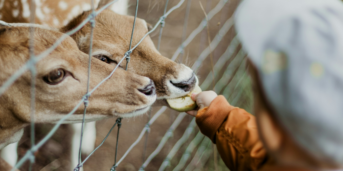 Exciting Family-Friendly Events in Seattle