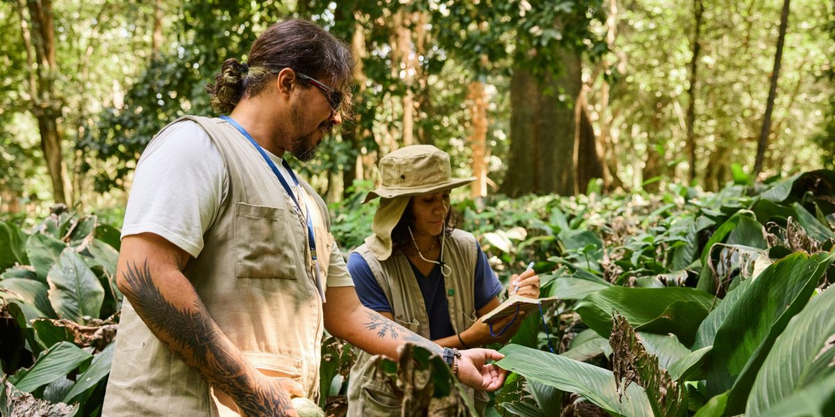 Seattle's Green Journey: Environmental Conservation Efforts